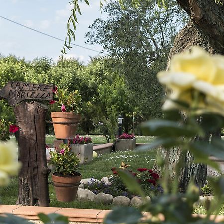 Camere Mariella Assisi Ngoại thất bức ảnh