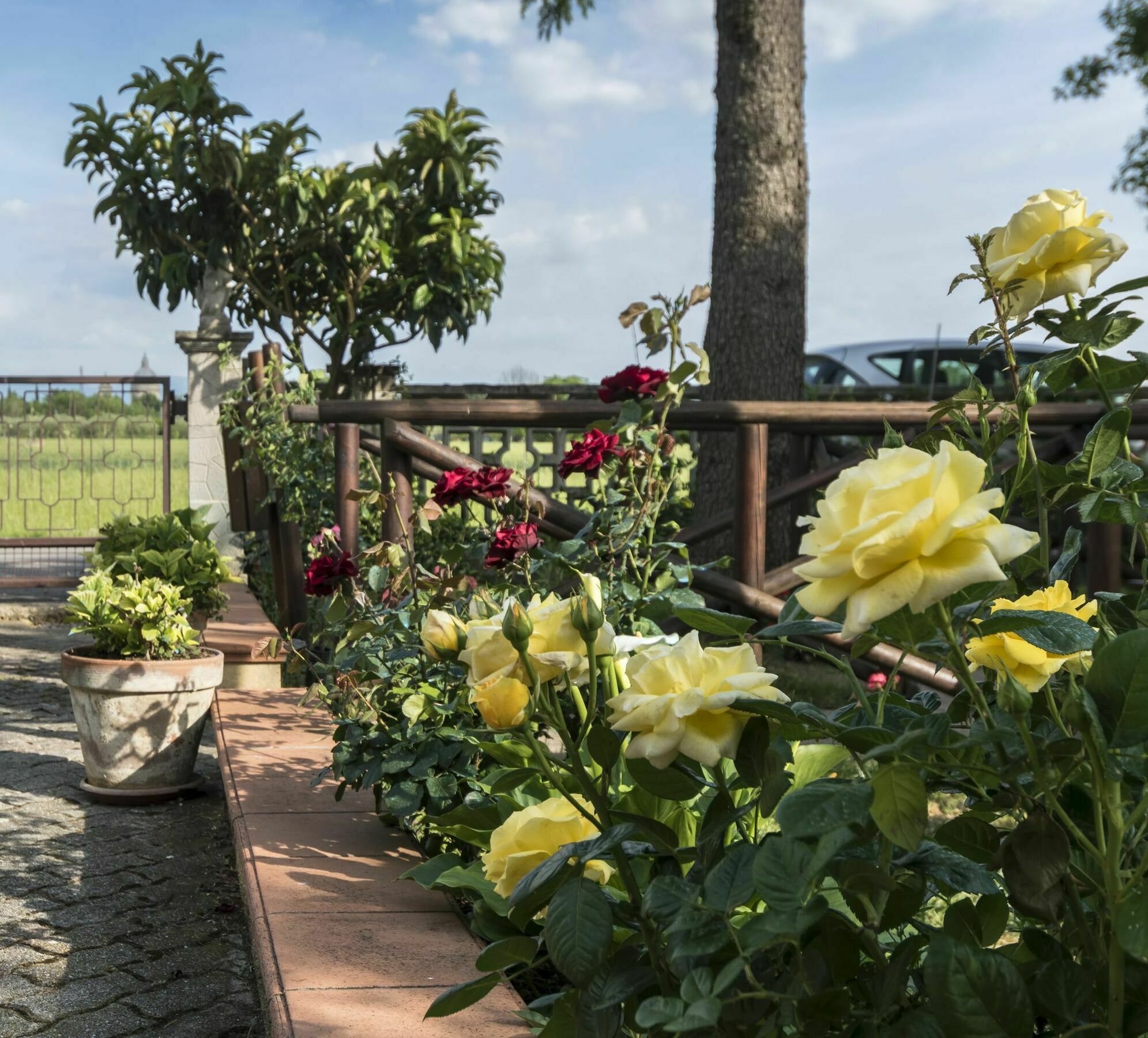 Camere Mariella Assisi Ngoại thất bức ảnh